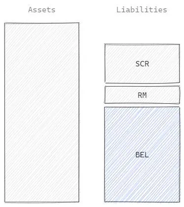 Solvency II balance sheet with the focus on BEL.