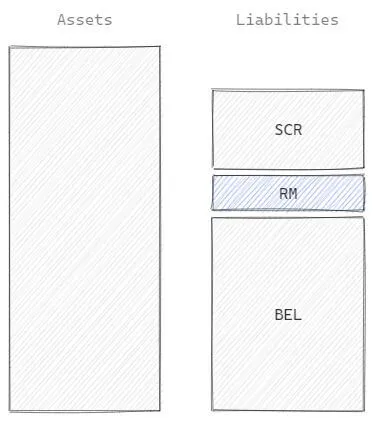 Solvency II balance sheet with the focus on RM.