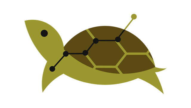 https://acturtle.com/static/img/logo/turtle.png